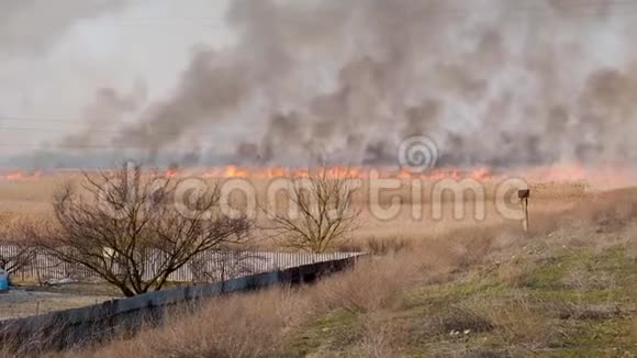 一阵大风吹过田野里的大火乌克兰视频的预览图