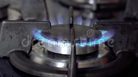 蓝色气体火焰燃烧气体厨房炉子燃烧器视频的预览图