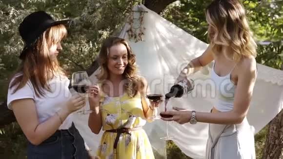 三位积极的年轻女性花时间在户外喝着酒杯里的酒阳光明媚夏日自然视频的预览图