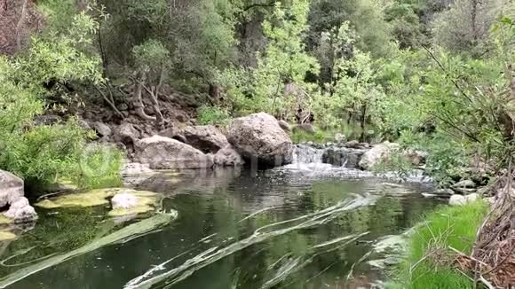 宁静的溪流带瀑布的小溪视频的预览图