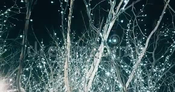 圣诞节和情人节树白色和银色闪耀的光慢动作相机概念视频的预览图