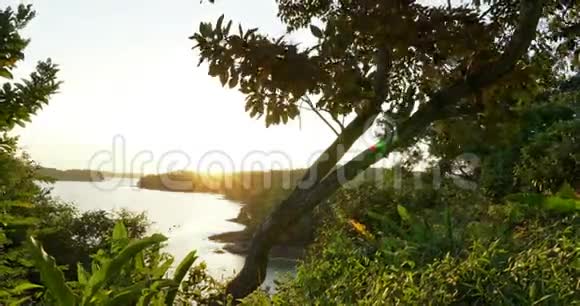 美丽的时光流逝热带的五彩缤纷的日落在海水上阳光在树枝上嬉戏视频的预览图