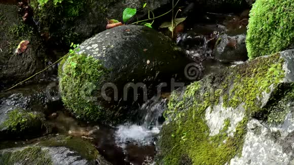 小溪的特写视频的预览图