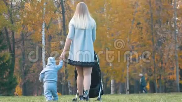 年轻的母亲带着一辆婴儿马车她的小婴儿牵着手走在她身边秋季公园视频的预览图