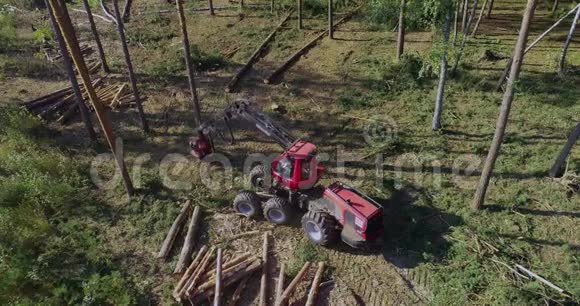用森林收割机砍树的完整过程视频的预览图
