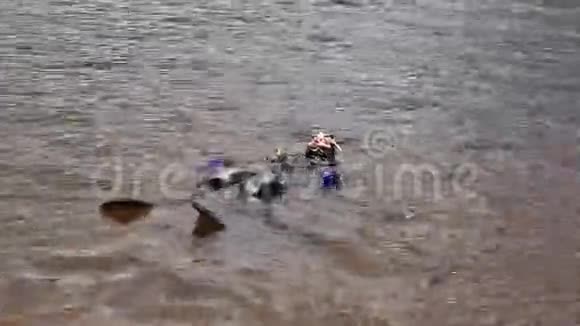 潜水员进入山湖水为紧急救援人员练习技术浸泡在冷水中视频的预览图