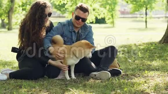 快乐的朋友女孩和男孩都爱抚可爱的狗在公园里一起坐着一边说着一边笑着视频的预览图