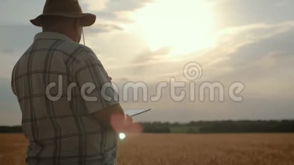 日落时分在麦田里使用现代农业技术的高级农民利用现代农业视频的预览图