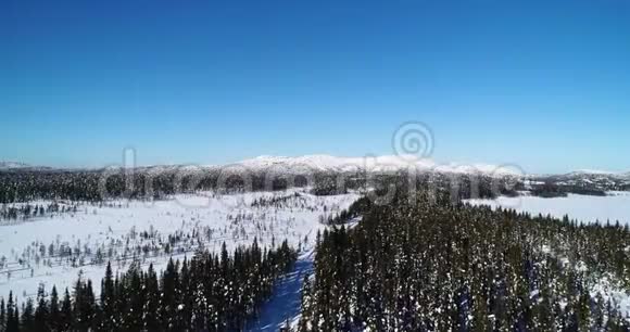 冬季森林的空中全景森林中的冬季景观视频的预览图
