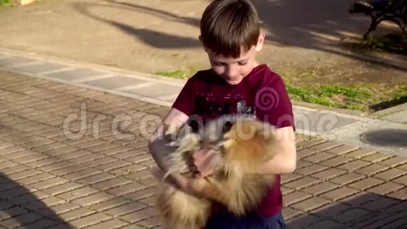 4K录像一个小孩子和一只小狗波美拉尼亚斯皮茨玩爱他拥抱和抚摸视频的预览图