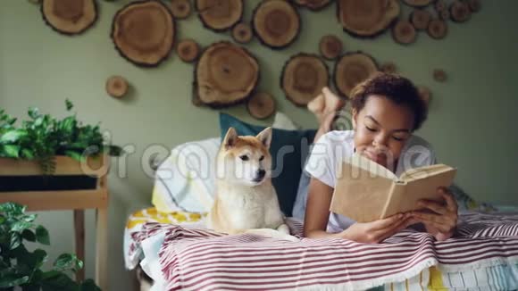 快乐的混血少女正在看书享受文学然后抚摸她躺在床上的狮子狗视频的预览图