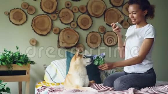 快乐的狗主人迷人的女人正在床上用鲜花向她的狗射击拍摄宠物的气味和有趣的照片视频的预览图