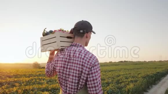一个年轻的男农民带着一盒新鲜蔬菜沿着田野散步背面视频的预览图