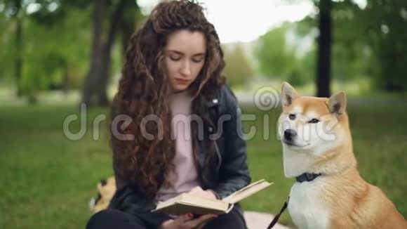 可爱的学生正在看书坐在公园里然后拍拍可爱的小狗微笑着可爱的动物聪明的视频的预览图