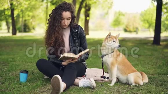 漂亮的小姐正在公园里看书拍拍可爱的狗石坝品种很好宠物坐在上面视频的预览图