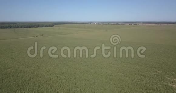 农田上方空中4k4096x2160像素视频的预览图