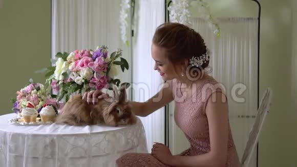 女孩在抚摸一只漂亮的棕色兔子女孩正看在她面前视频的预览图