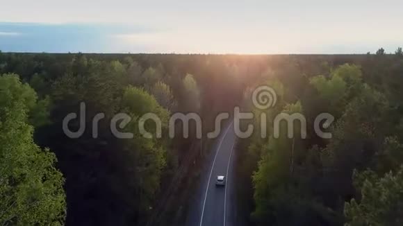 全景汽车穿越松林和夕阳视频的预览图