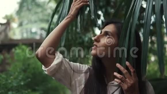 一个女人从公园的一棵棕榈树上把手递给一片叶子的画像视频的预览图