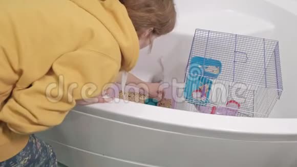 一个年轻的女人照顾一只宠物洗和清洁浴室里的笼子去除脏锯末啮齿动物老鼠视频的预览图