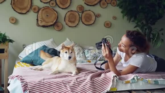 年轻的女摄影师正在拍摄一只美丽的宠物狗躺在床上然后抚摸着有教养的动物看着它视频的预览图