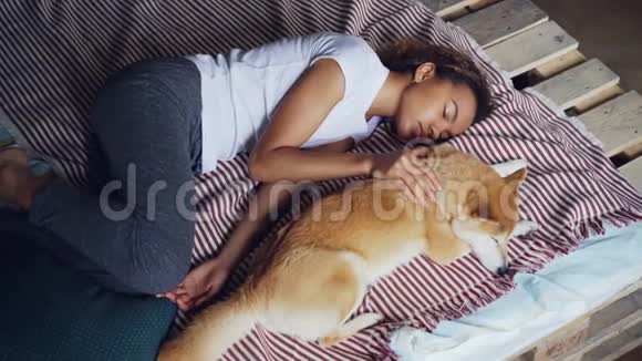 从高角度看穿睡衣的漂亮年轻女人和她可爱的小狗睡在家里的床上友谊视频的预览图