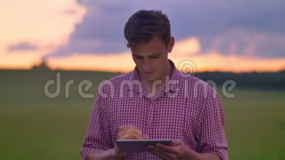 年轻的帅哥在平板电脑上打字站在小麦或黑麦地上上面是粉红色的天空上面有云视频的预览图