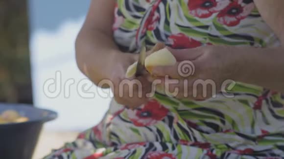 为制作苹果派而切苹果的贴身老妇人视频的预览图