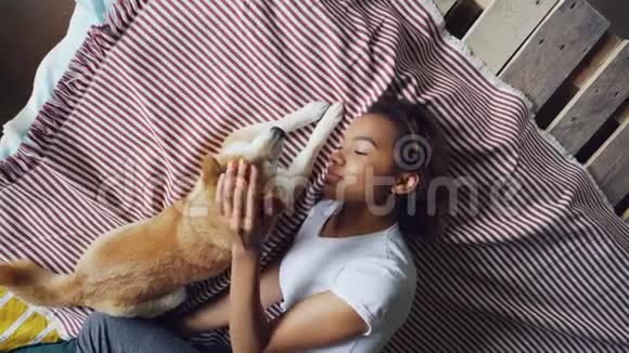 迷人的非洲裔美国妇女抚摸美丽的石巴狗躺在床上一起在家里青年视频的预览图