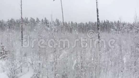 无人机在冬季森林附近升起视频的预览图