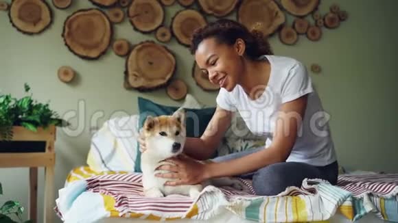 快乐的非裔美国少女正在抚摸宠物狗亲吻它在床上表达爱和关怀视频的预览图