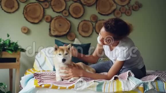 漂亮的非裔美国女孩抚摸着可爱的石巴狗躺在家里装饰精美的卧室里的床上视频的预览图