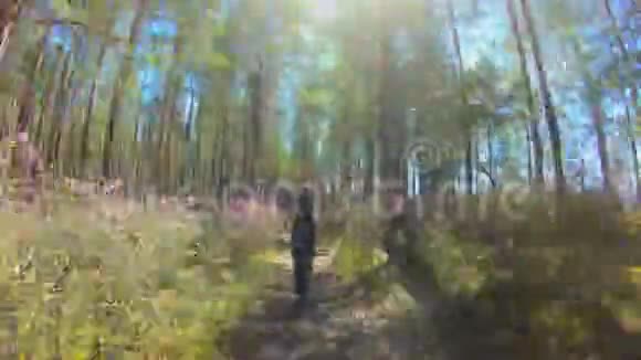 女孩沿着一条森林小径漫步在杜鹃花的粉红色花朵中视频的预览图