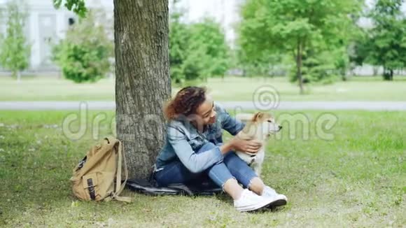 善良的非裔美国女孩抚摸着美丽的石坝狗坐在公园的草地上和城市在一起视频的预览图