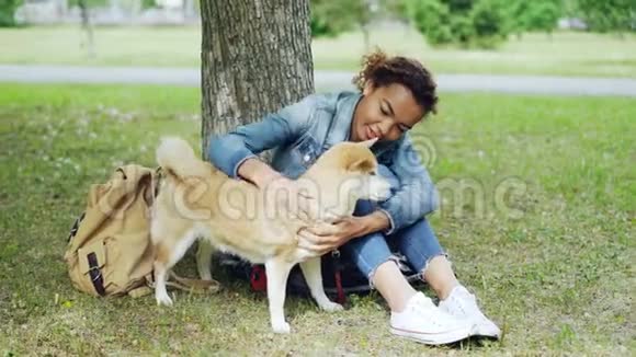 在温暖的夏日里一位漂亮的混血女人正在为她的宠物狗在公园的草地上休息而烦恼美丽的绿色草坪视频的预览图