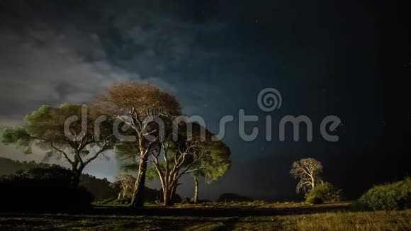 夜间干树映衬着夜空和动人的云彩视频的预览图