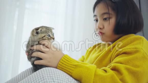 可爱的亚洲女孩和可爱的小猫玩耍视频的预览图