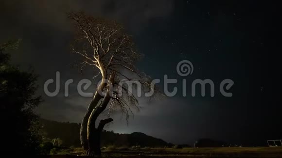 夜间干树映衬着夜空和动人的云彩视频的预览图