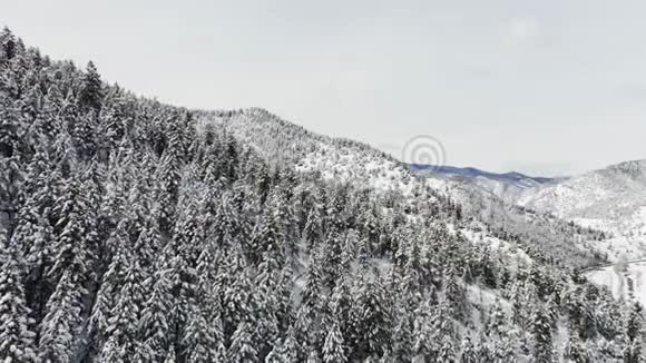 冬季云杉和松林的空中天桥拍摄白雪覆盖的树木视频的预览图