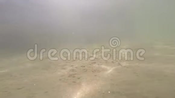 阳光反射在沙子上视频的预览图