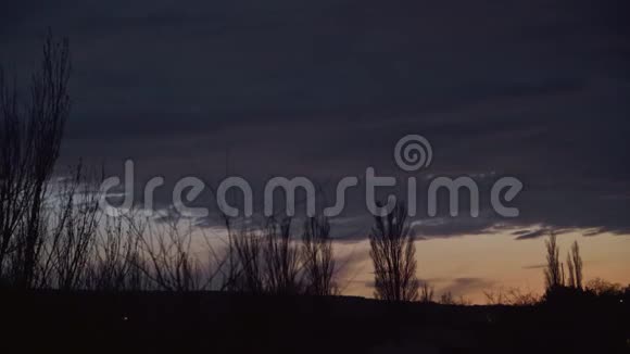 暮光与飞云树后视频的预览图