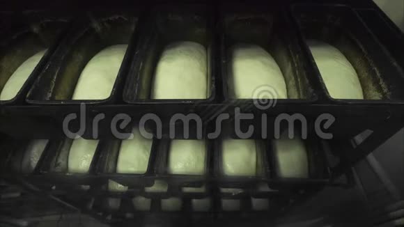 时间推移以酵母面包的形式生长面团视频的预览图