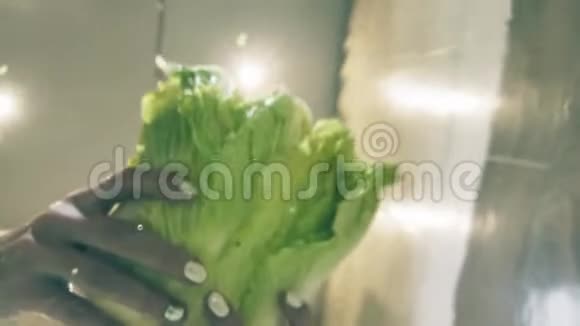 新鲜生菜或大白菜叶溅入水中健康食品视频的预览图