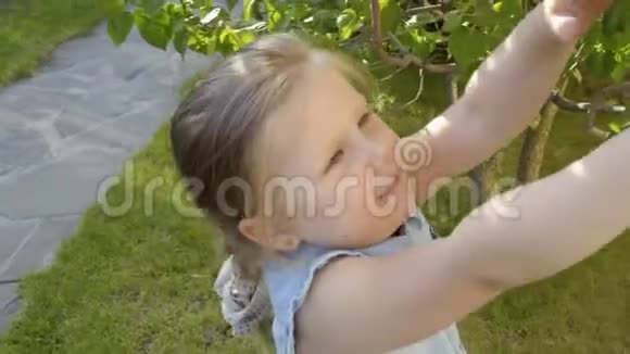 可爱的小女孩嗅着丁香花从早午餐中撕下花朵视频的预览图
