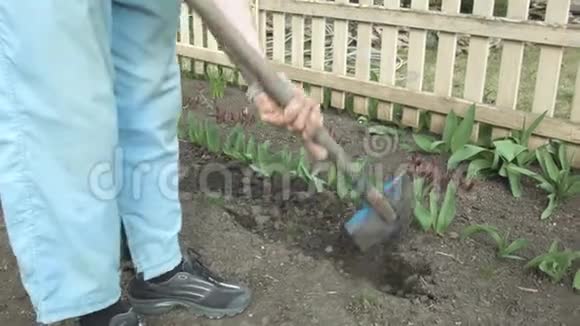 园丁在花园里挖掘视频的预览图