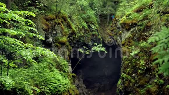 人站在树林里的悬崖边库存录像在森林的悬崖峡谷中停留的旅行者的俯视图苔藓陡峭视频的预览图