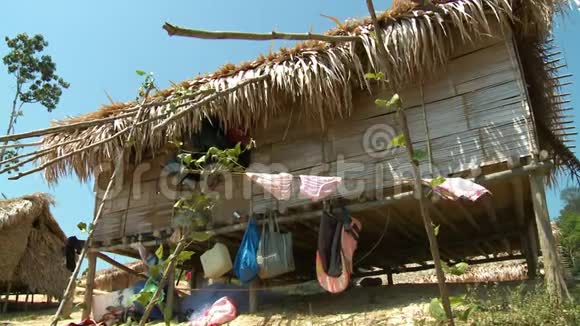 土著Stilt之家Belum雨林马来西亚视频的预览图