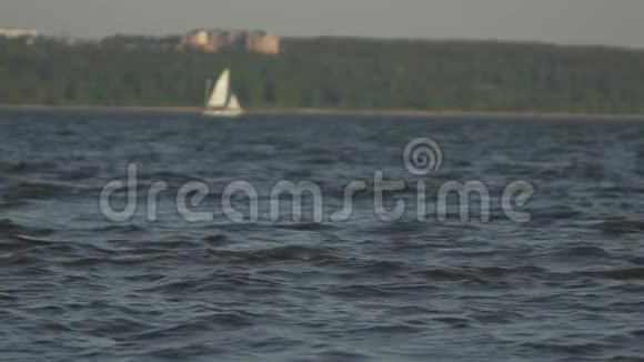 帆船大海抽象水背景海在背景船帆船森林夏日的自然独自的游艇视频的预览图