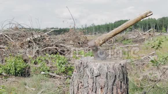 砍伐森林树桩上的斧头视频的预览图