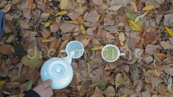 秋季秋叶立杯中的白瓷铁壶绿茶近景视频的预览图